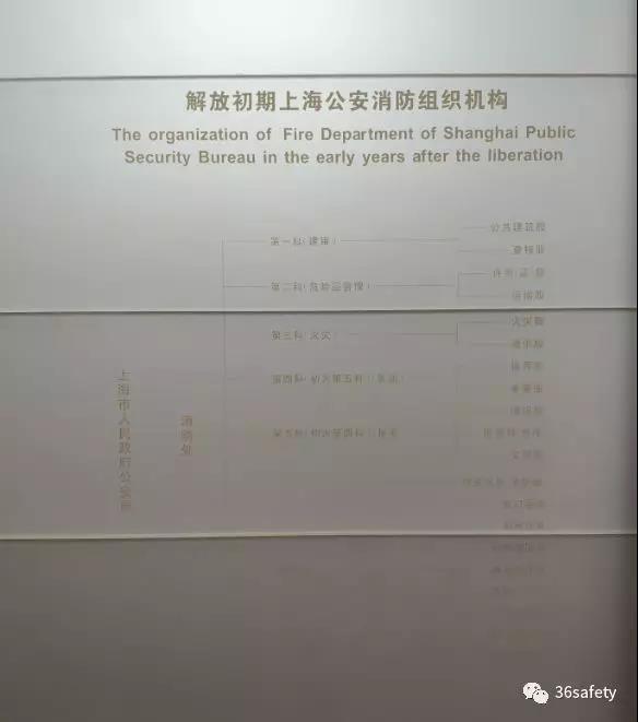 1557729008237191.jpg